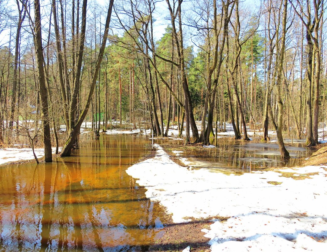 Наполняются реки водой - Андрей Снегерёв