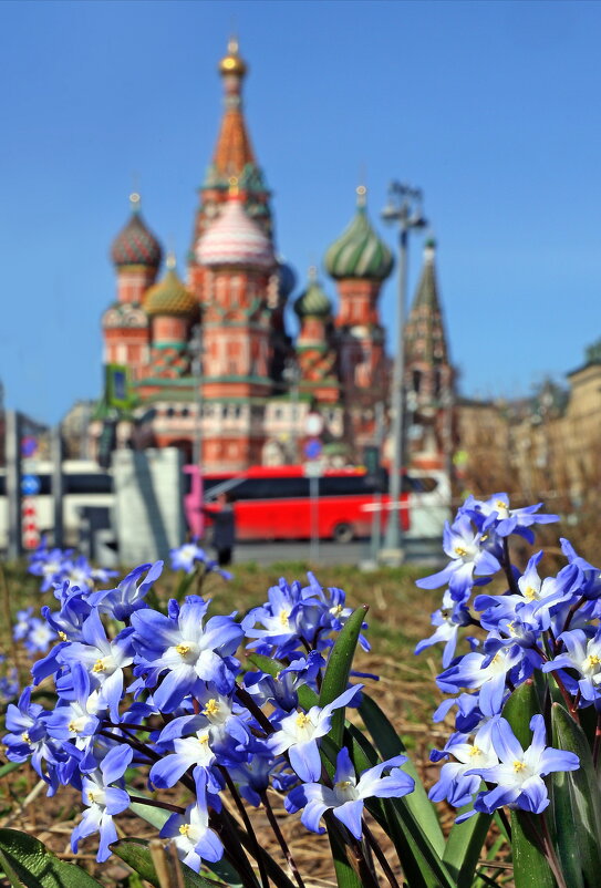 30 марта в Зарядье - Михаил Бибичков