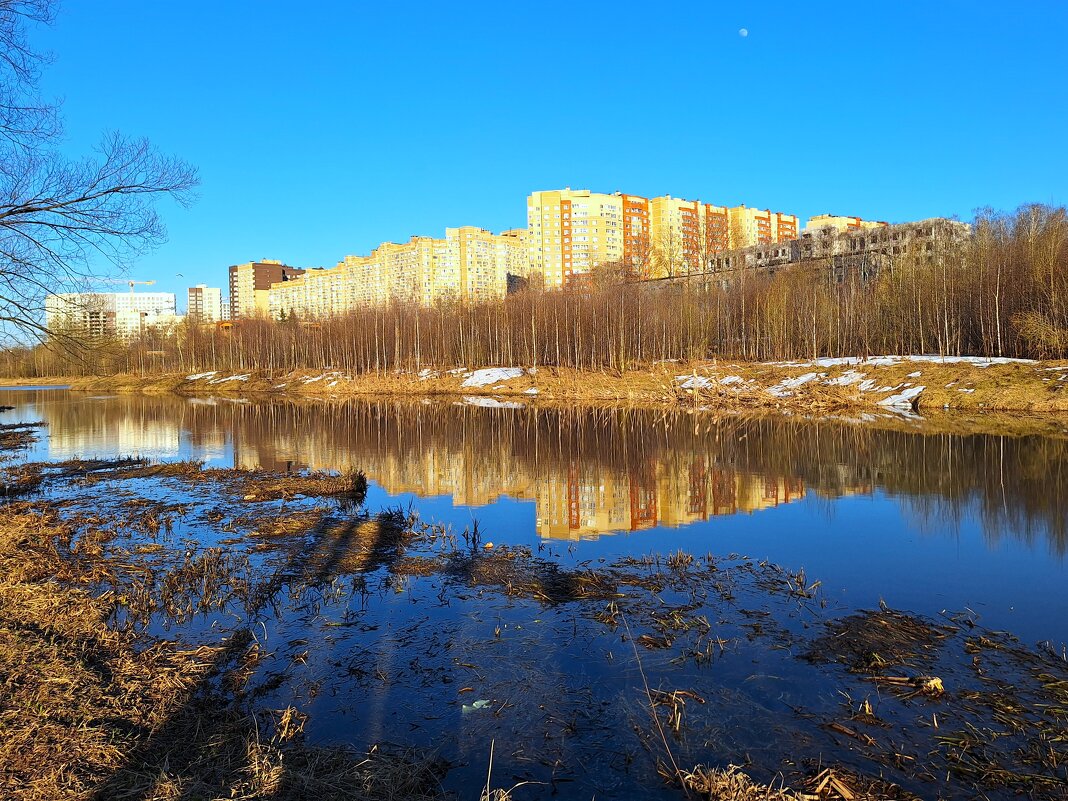 Яуза - Наталья 