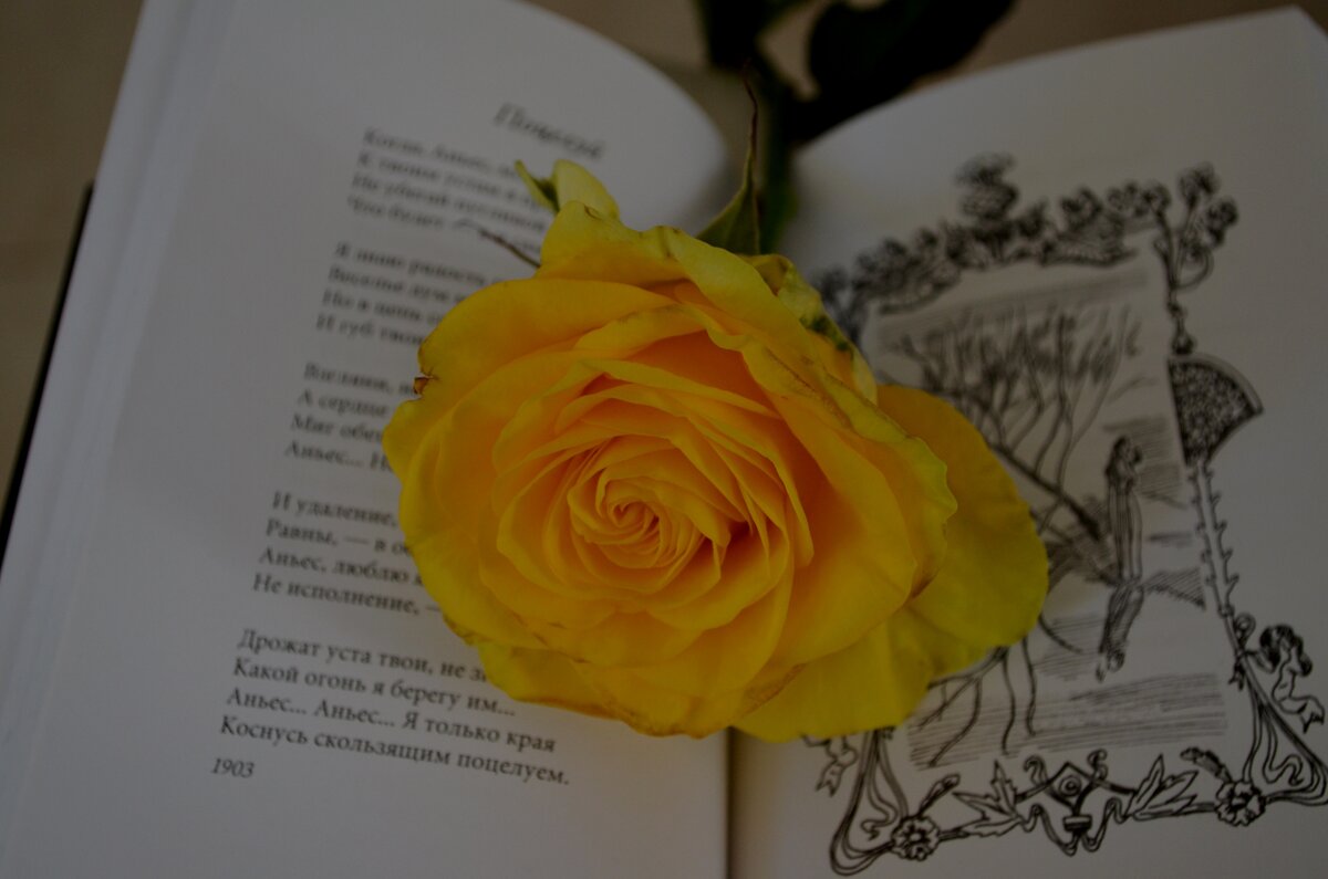 Поцелуй - Таня Фиалка