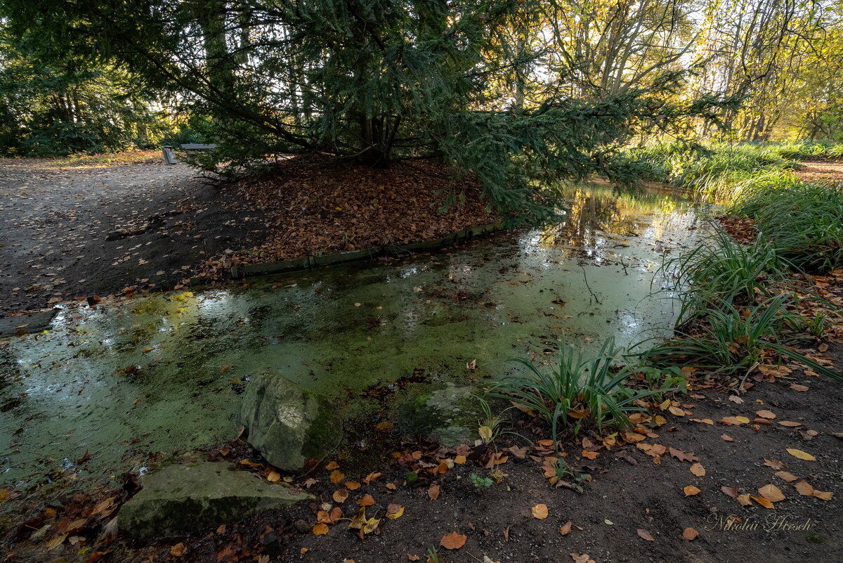 Ручей в парке... - Николай Гирш