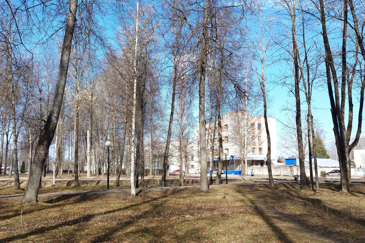 Городской парк, г.Дно - Артем 