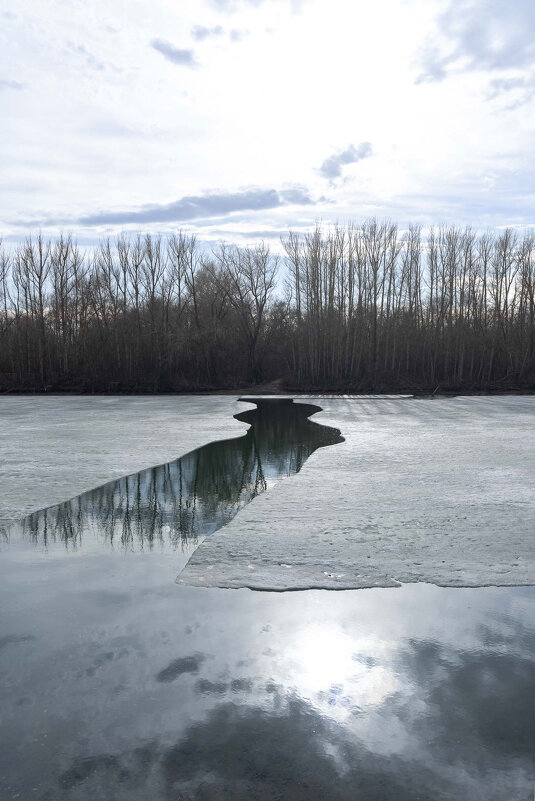 *** - Елена Алексеева