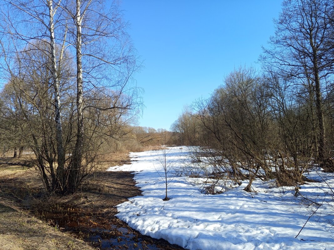 Хорош был март! - Андрей Лукьянов