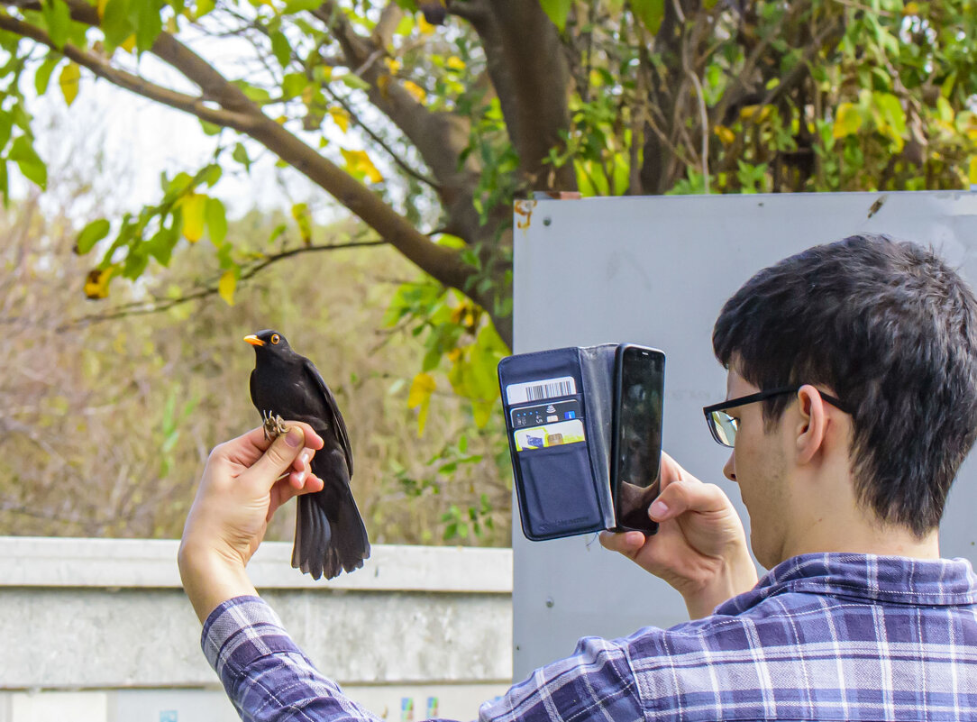 парень окольцевал птицу,сфотографировал и отпустил - Осень 