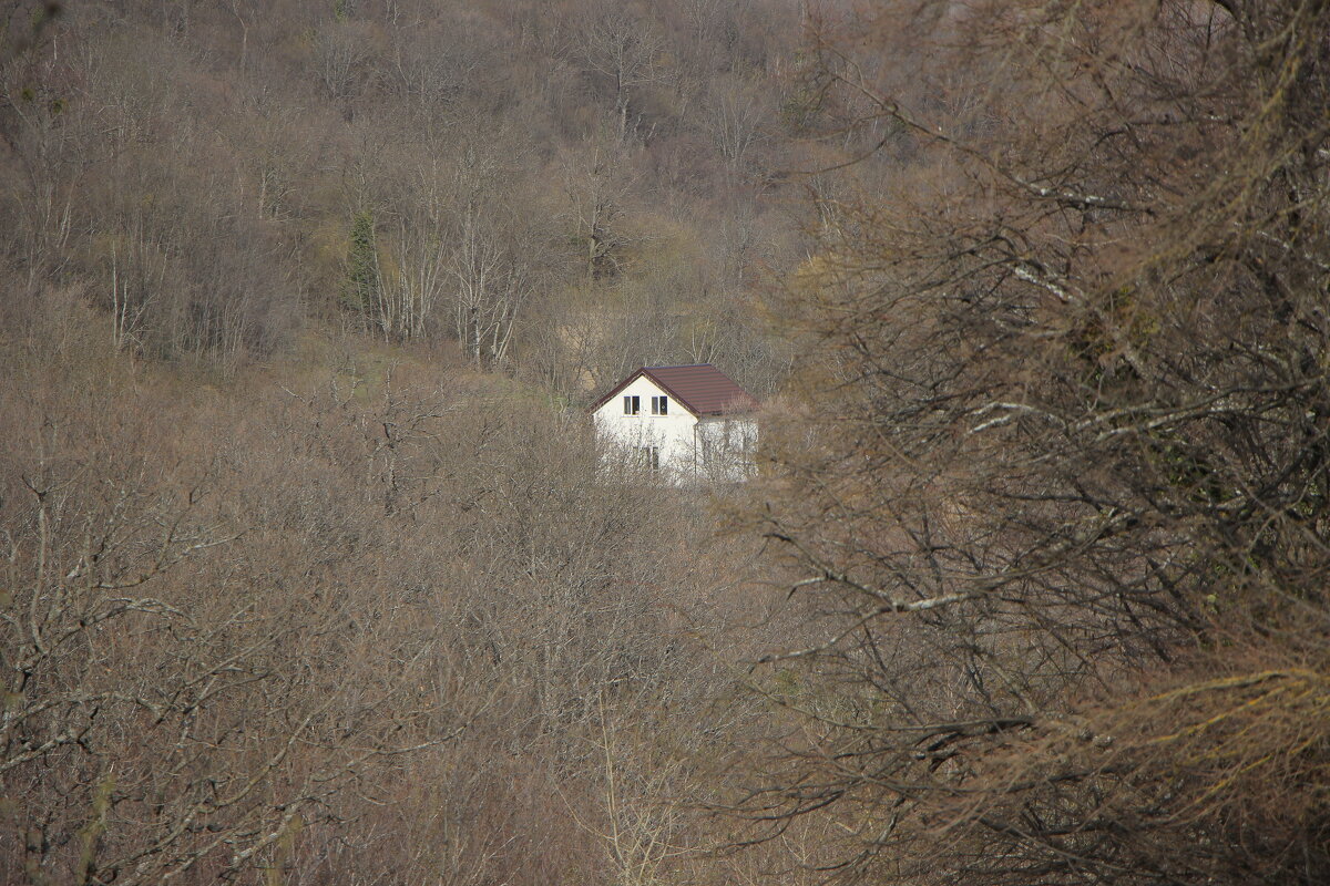 Домик. - Дмитрий А Домик. - Дмитрий А