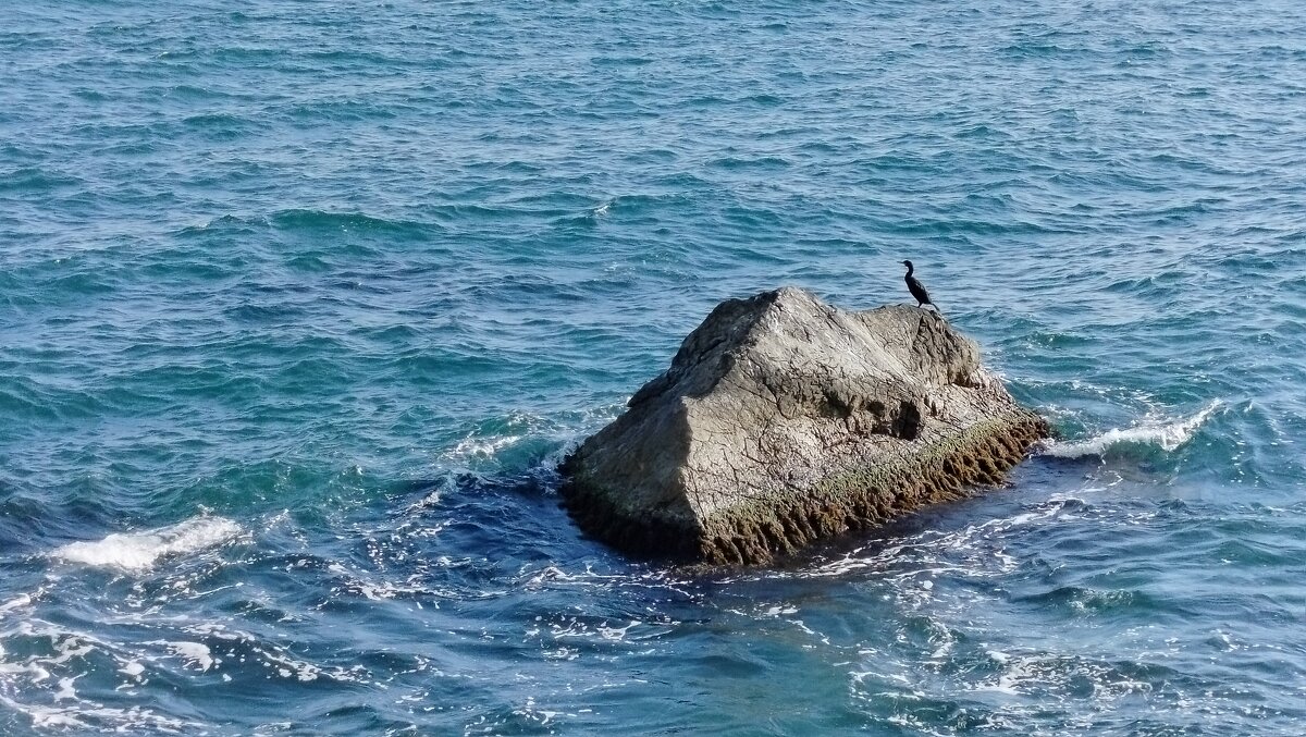 Баклан - Олег Денисов