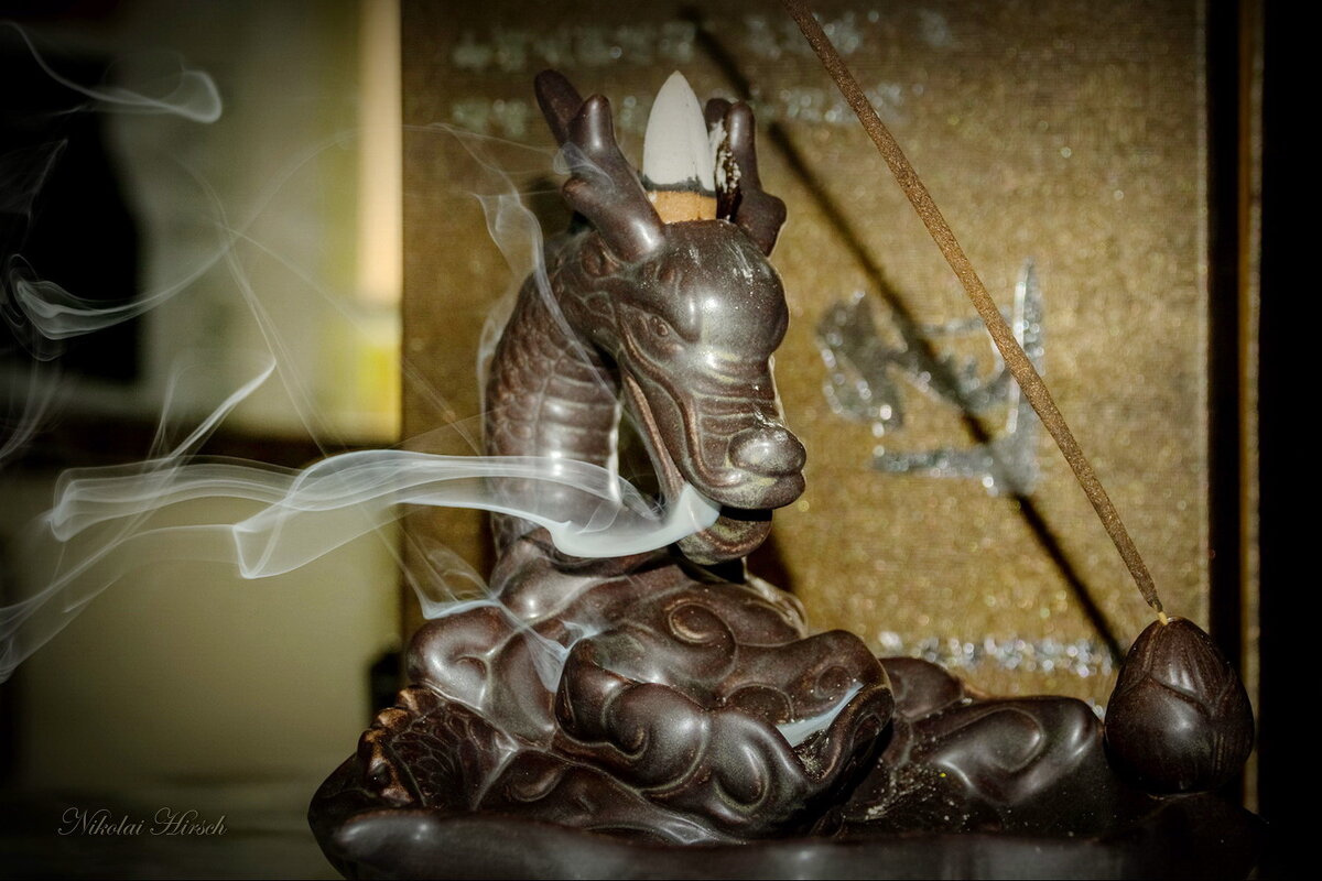 Дым и мысли... - Николай Гирш