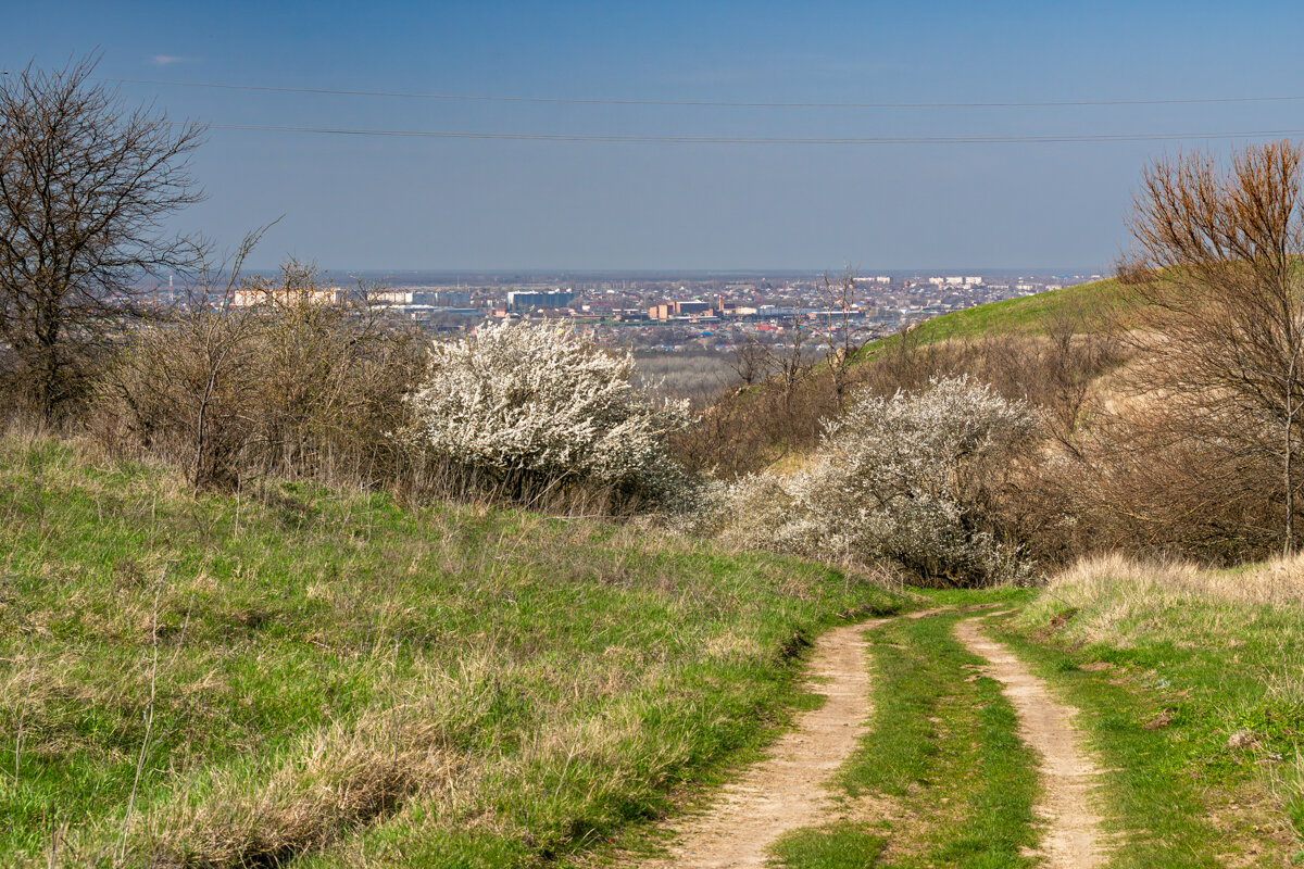 Весна набирает ход - Игорь Сикорский