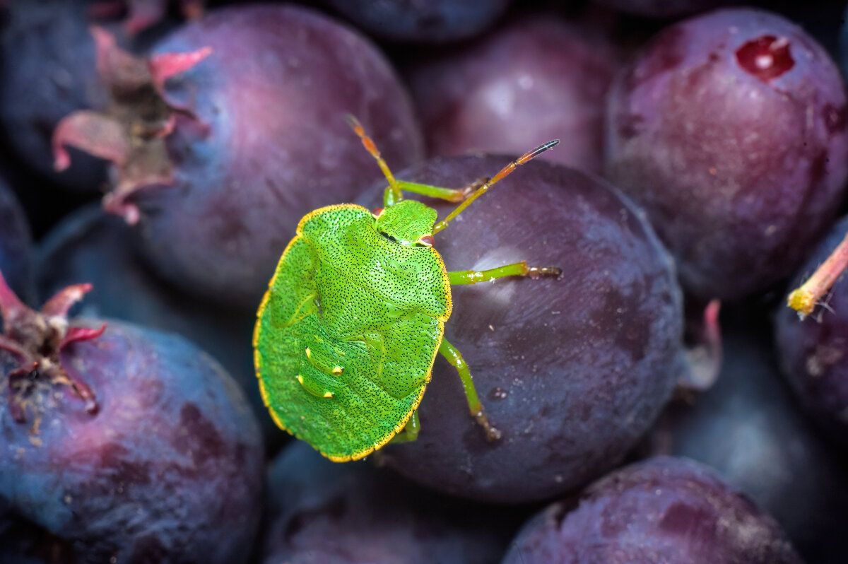 *   *   * - Уже не важно ...