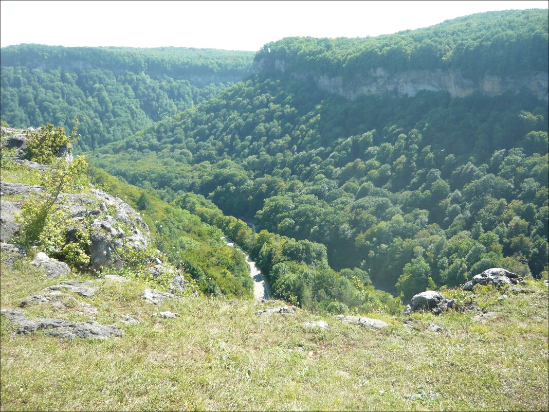 Курчавая Адыгея! - Надежда Курчавая Адыгея! - Надежда