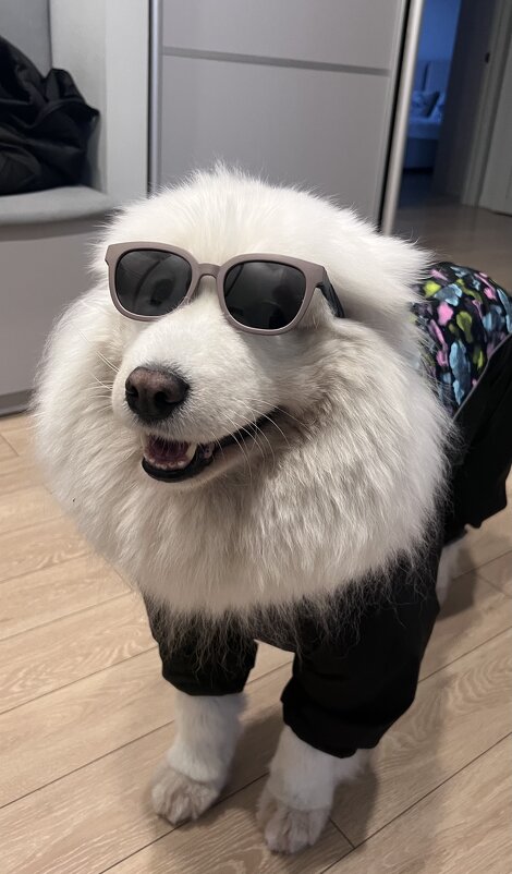 Весенний наряд - Дмитрий Радионов