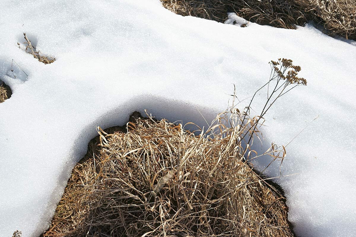 Весенний сюжет - Сергей Курников Весенний сюжет - Сергей Курников