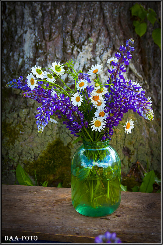 БУКЕТ С ЛЮПИНАМИ И РОМАШКАМИ. - Александр Дмитриев БУКЕТ С ЛЮПИНАМИ И РОМАШКАМИ. - Александр Дмитриев