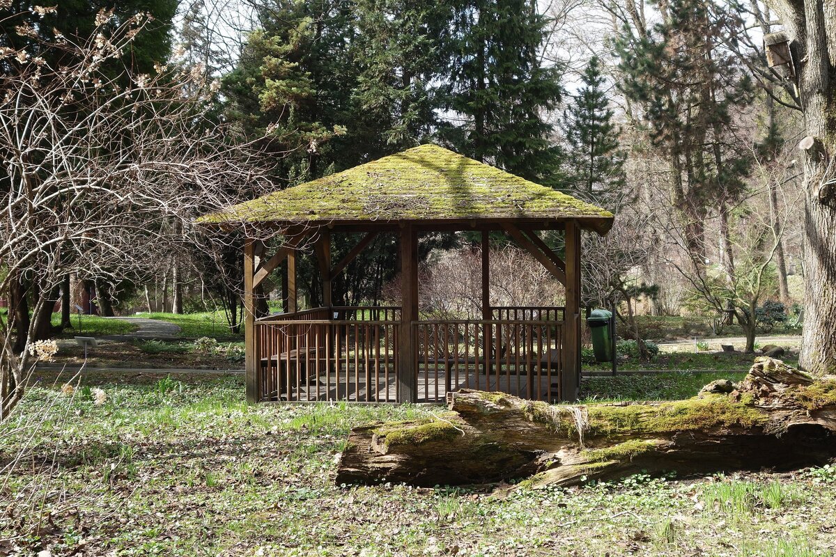 Март, ландшафтный парк, Калининград - Рита Симонова