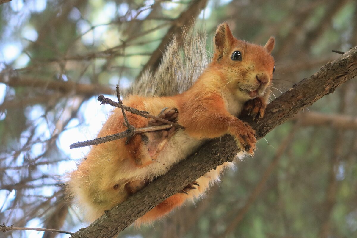 Отдых - Галина Козлова 