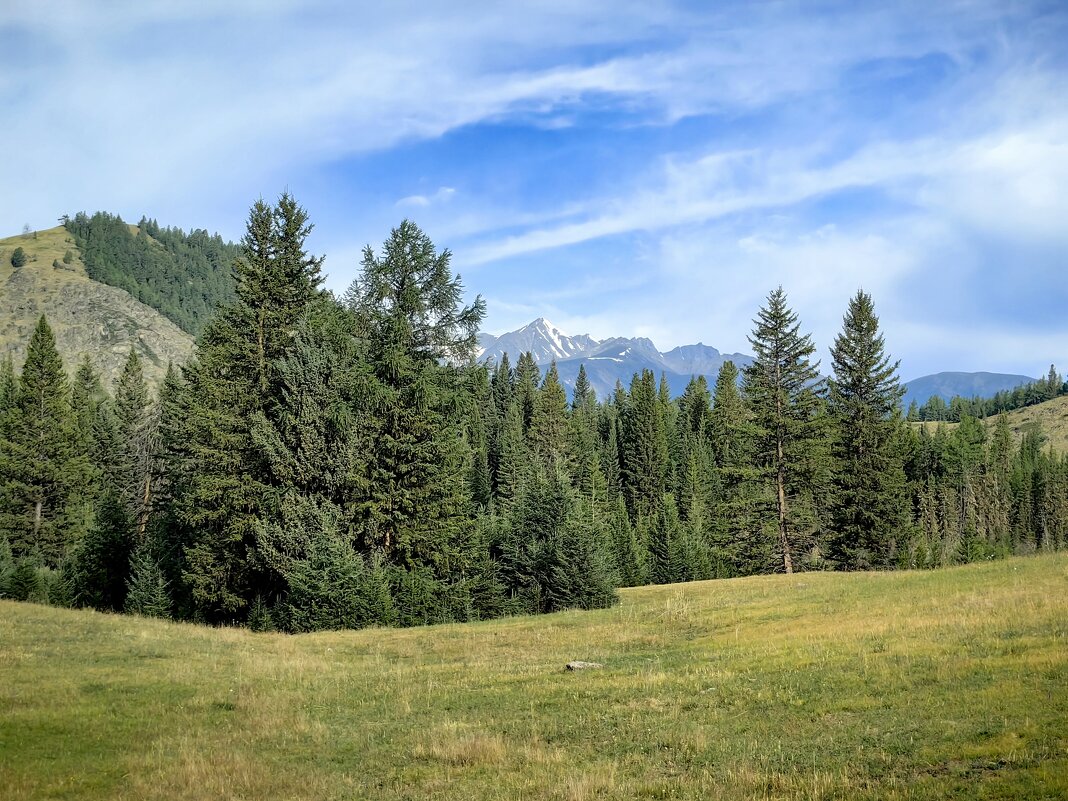 Алтайский пейзаж - Галина Козлова 
