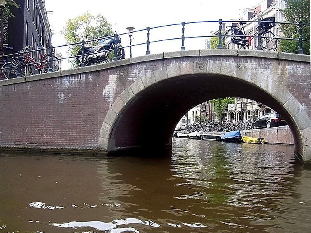 На улице Амстердама - Ольга Довженко