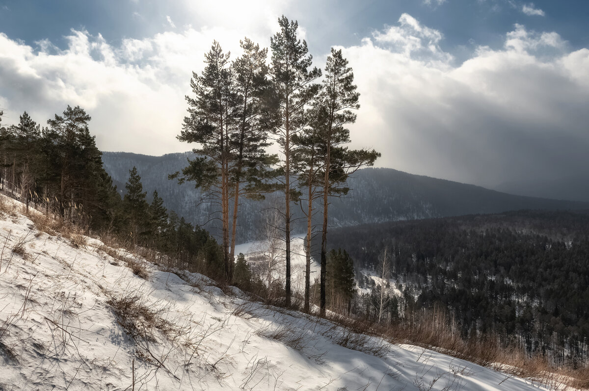 Весенний склон - Марина Фомина.