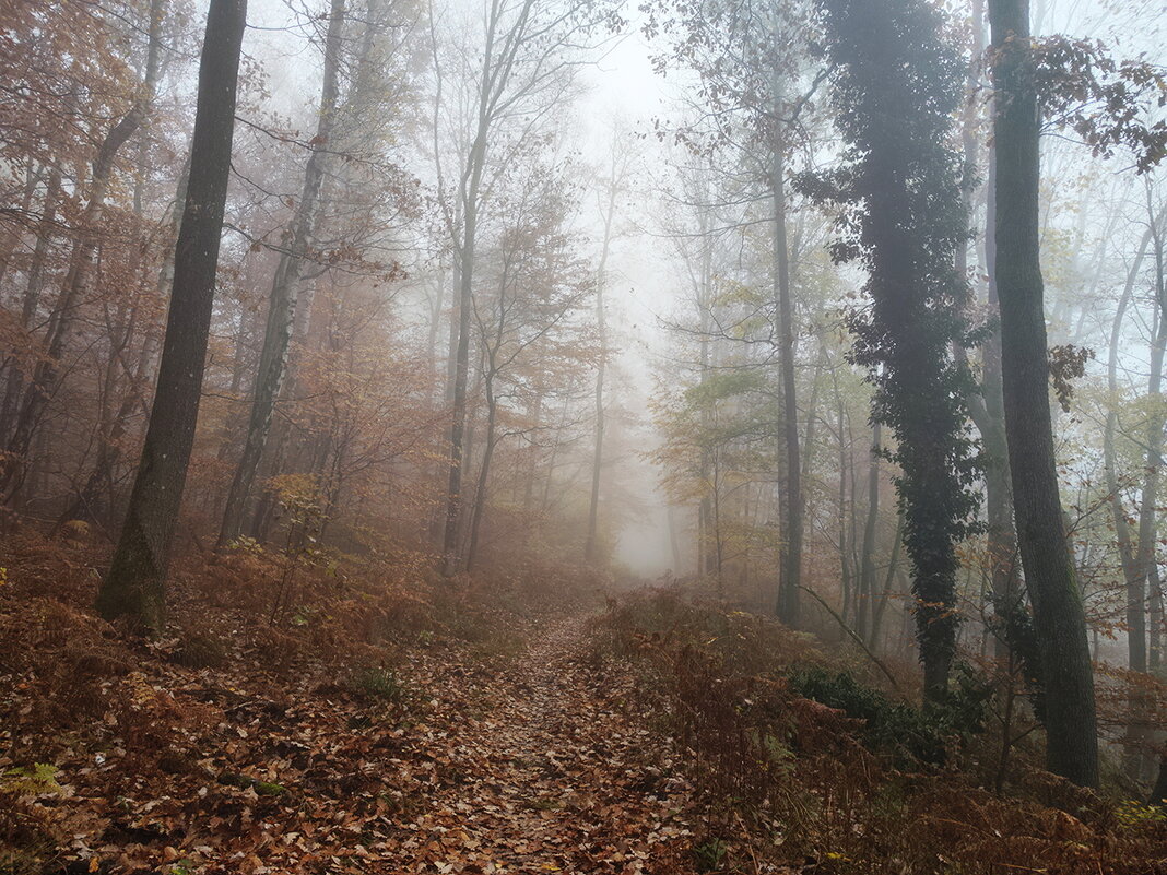 ---------------------- - igor G. ---------------------- - igor G.