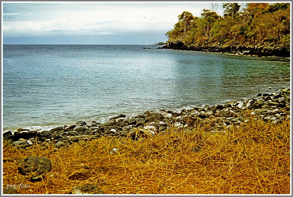 Берег Сан-Томе - Владимир Попов
