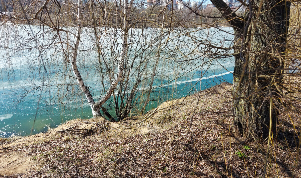 Весна. - Владимир Безбородов