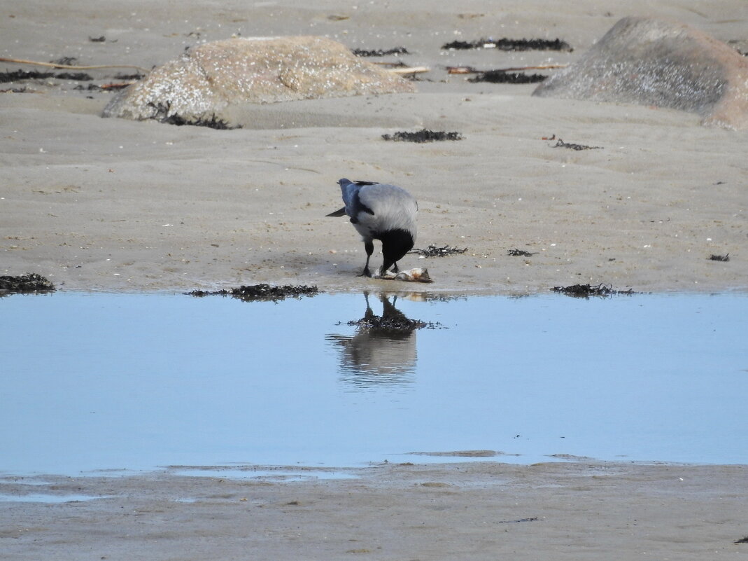 **** - ИННА ПОРОХОВА