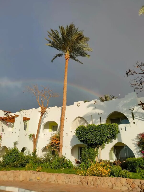 Египет. Шарм-эль-Шейх. Стоит одиноко... - Ирэн 