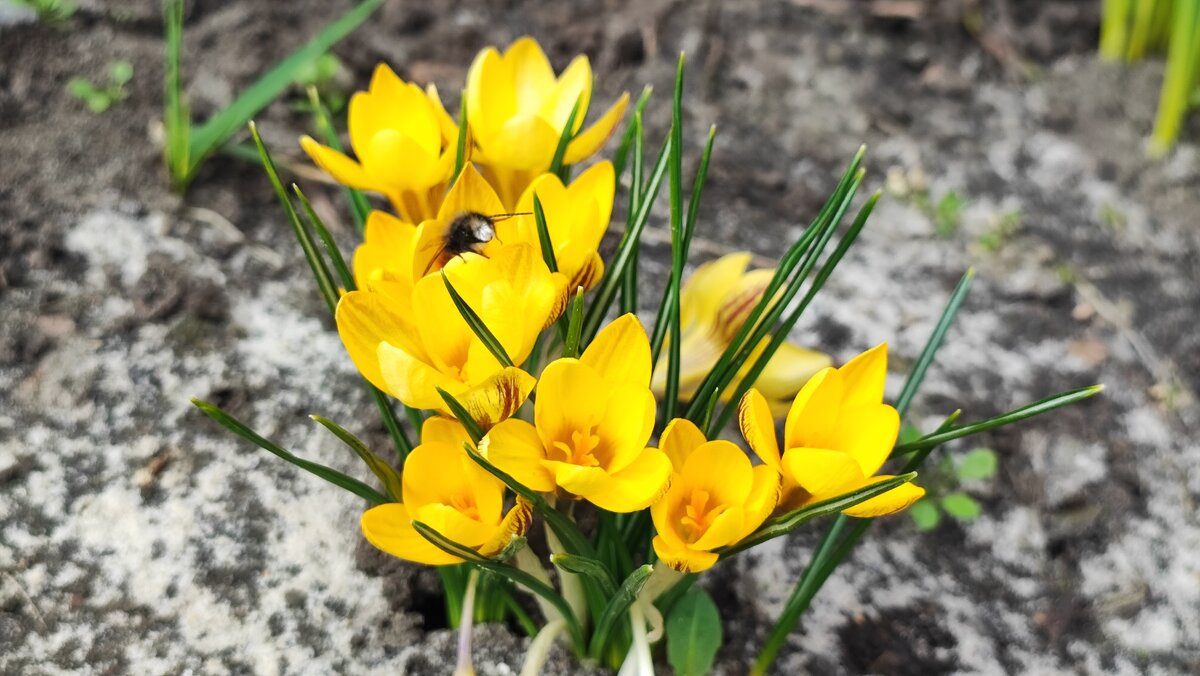 ,,, - Сергей Тимоновский