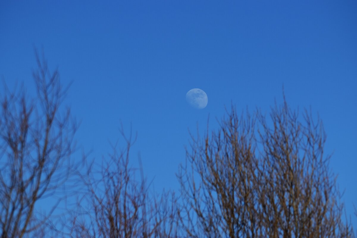 Днем луна не менее прекрасна. - Наталья Вязигина
