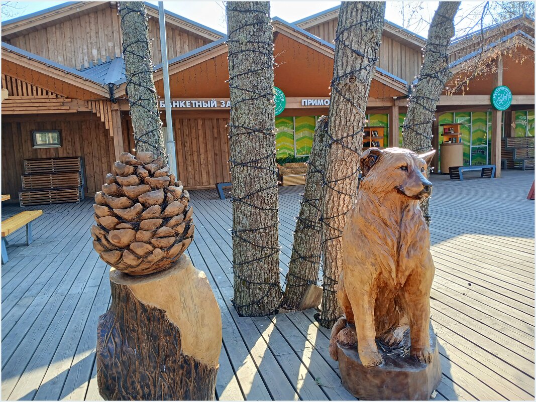 Пёс, который стал одним из символов города Сосновый Бор... - Лия ☼