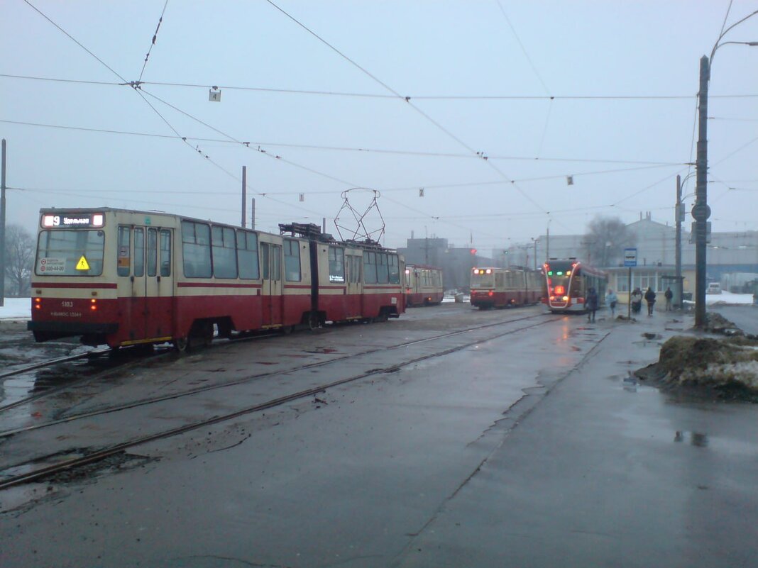 На кольце - Not Lion