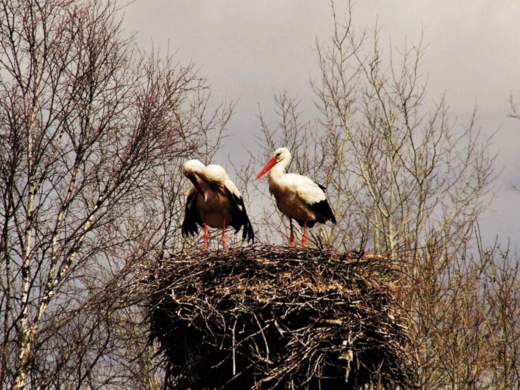 Прихорошиться после перелёта.. - Aida10 Прихорошиться после перелёта.. - Aida10