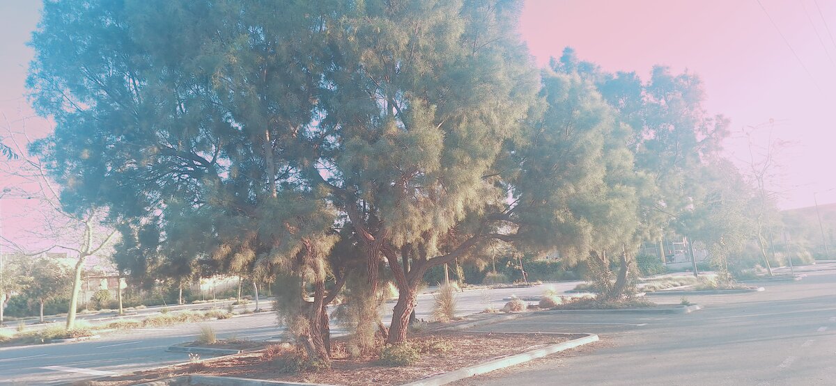 14  КЛОС (70) - СТРЕН 