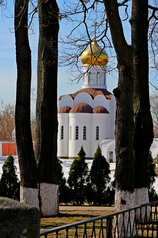 Николо-Угрешский монастырь - Дмитрий Балашов