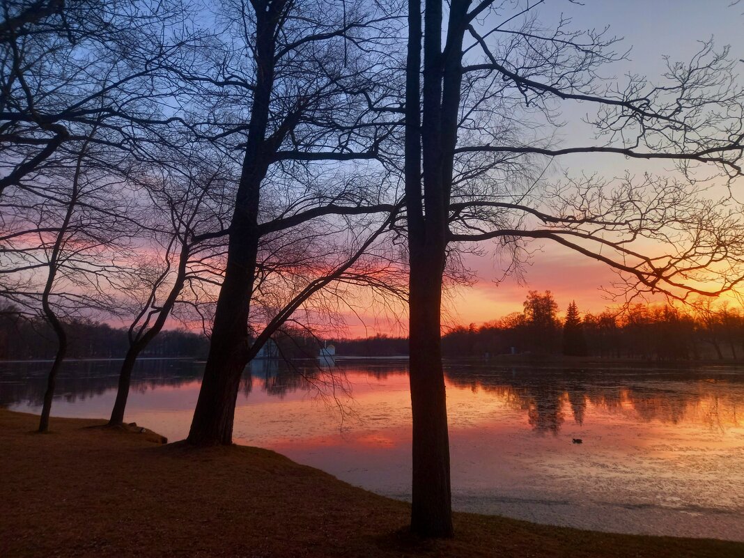 Закат - Сапсан 
