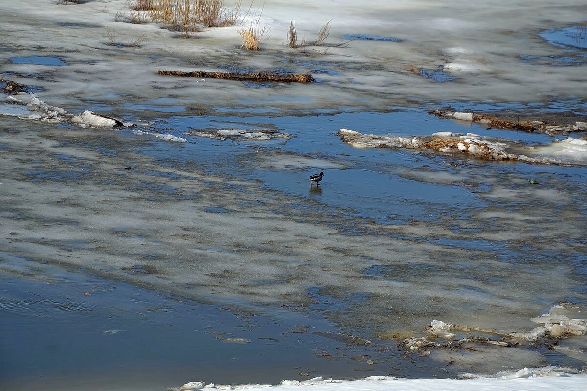 На Оке - Михаил Столяров
