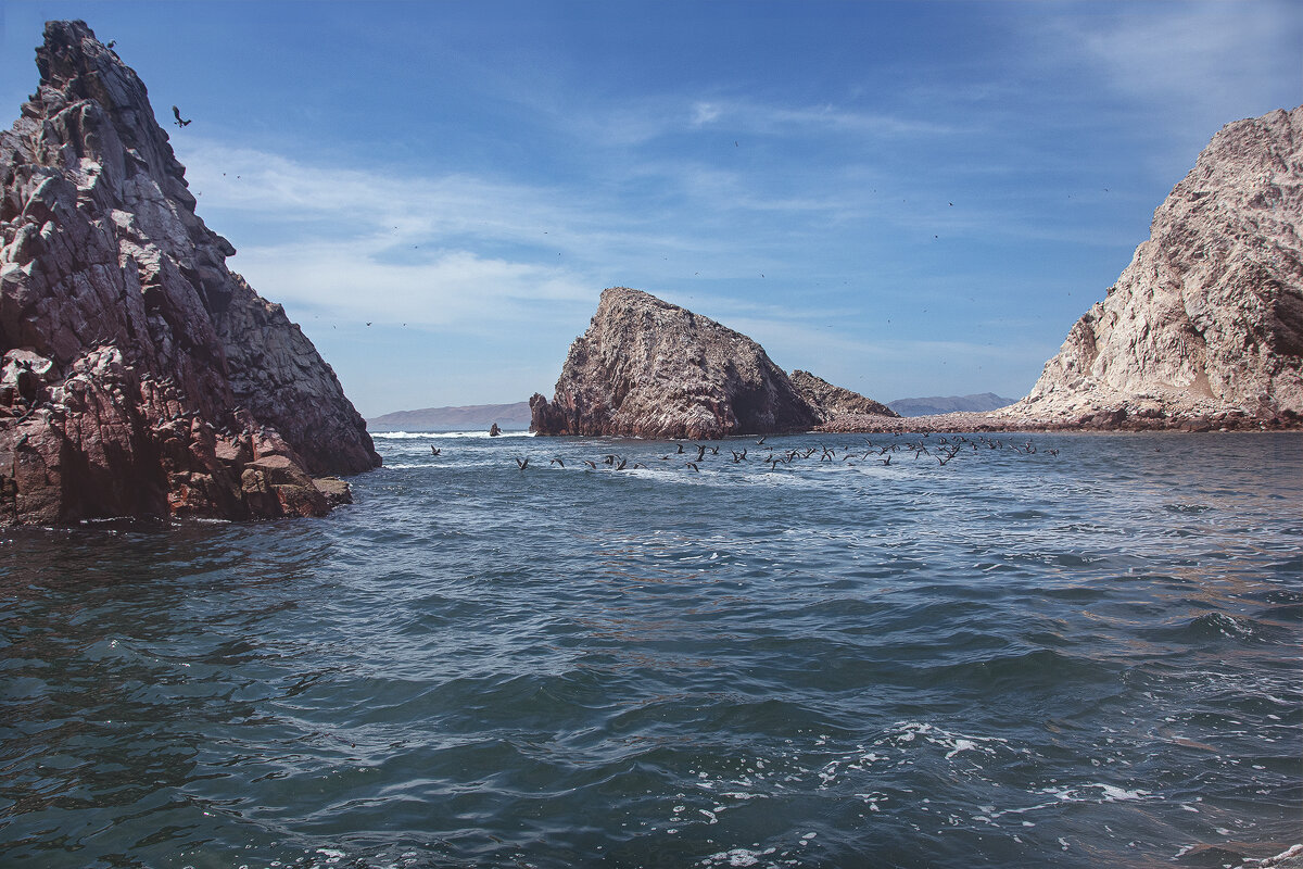 Острова Бальестас (Islas Ballestas). Перу. - Svetlana Galvez