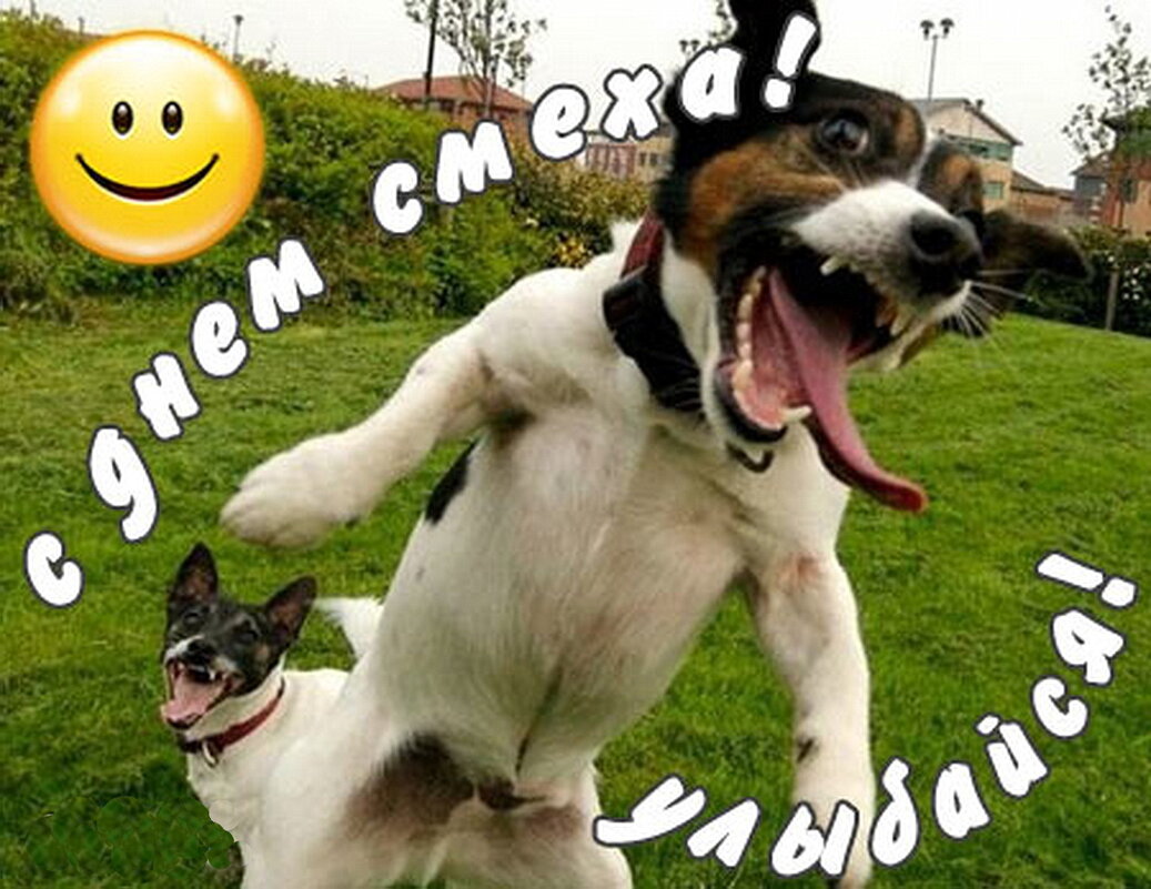 С днём смеха! - Людмила Смородинская