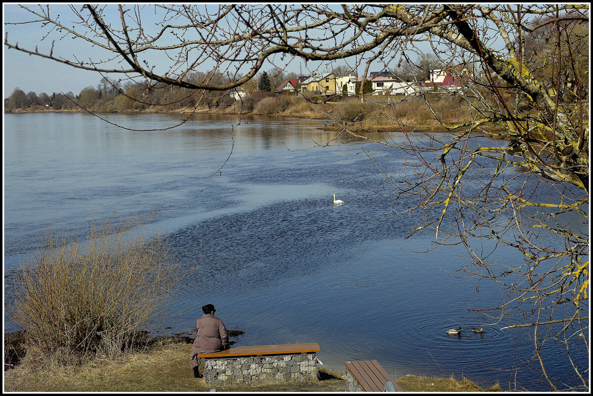 *** - Aleksandr Gal *** - Aleksandr Gal