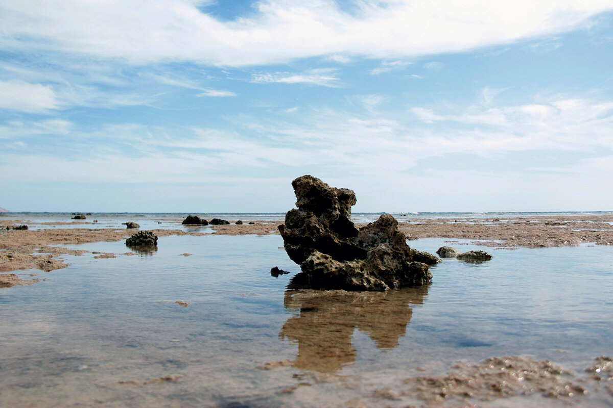 Красное море. Отлив - Сергей Сомихин