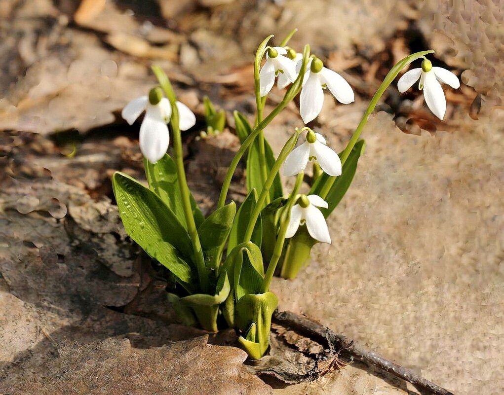 Они всегда интересные - ZNatasha - Они всегда интересные - ZNatasha -