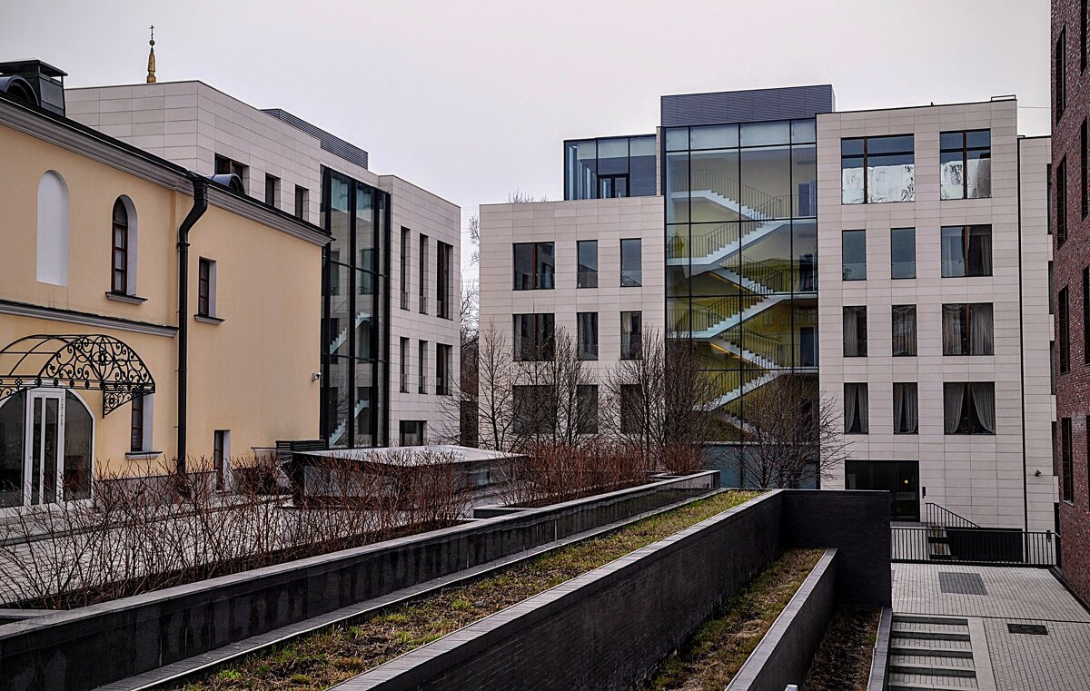 Чистые  линии - Анатолий Колосов