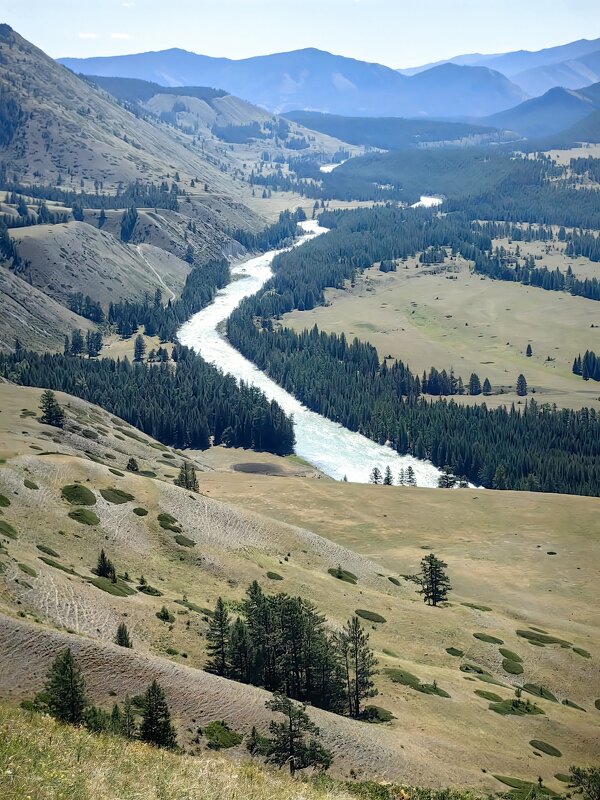 Голубые дали Аптая - Галина Козлова 