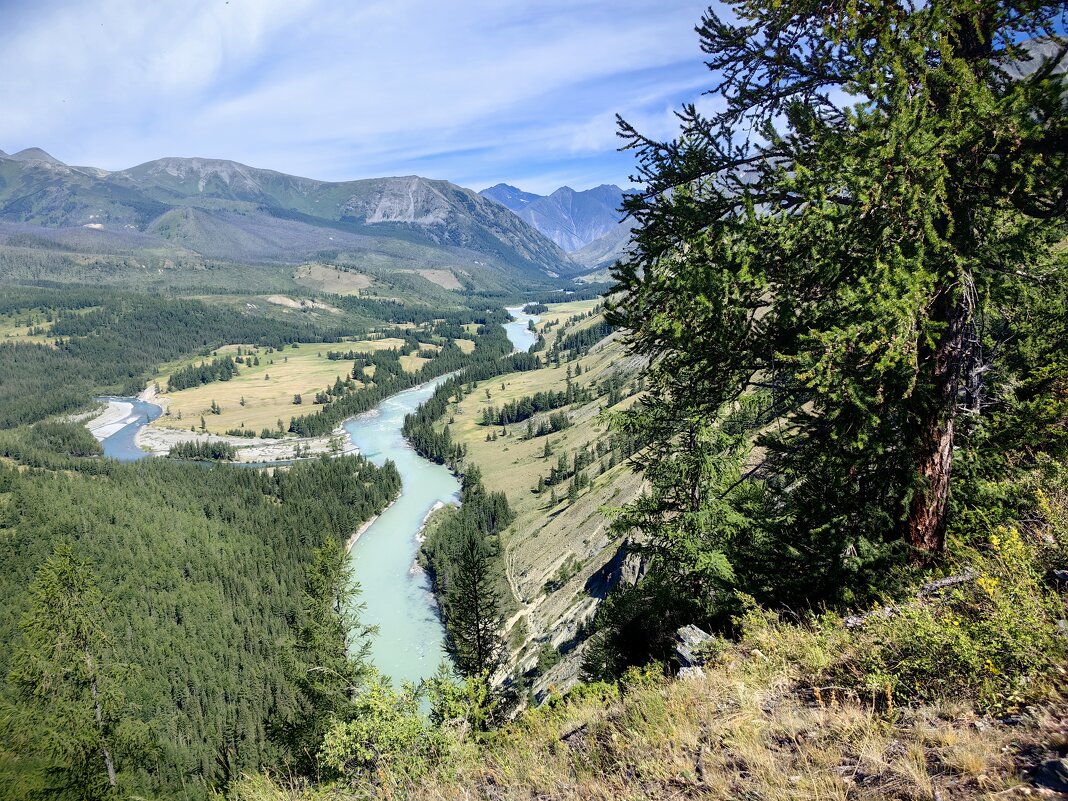 Слияние река Аргут и Коксу - Галина Козлова 