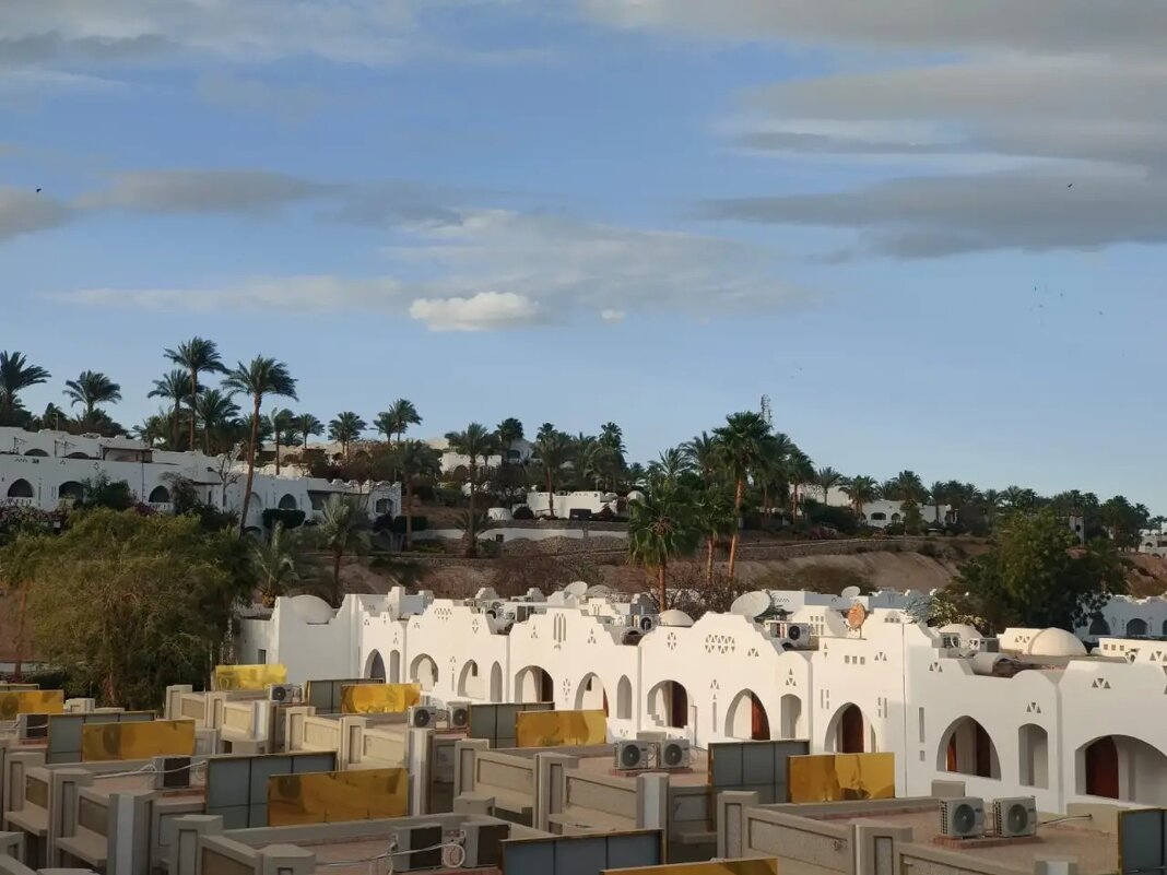 Египет. Шарм-эль-Шейх - Ирэн 