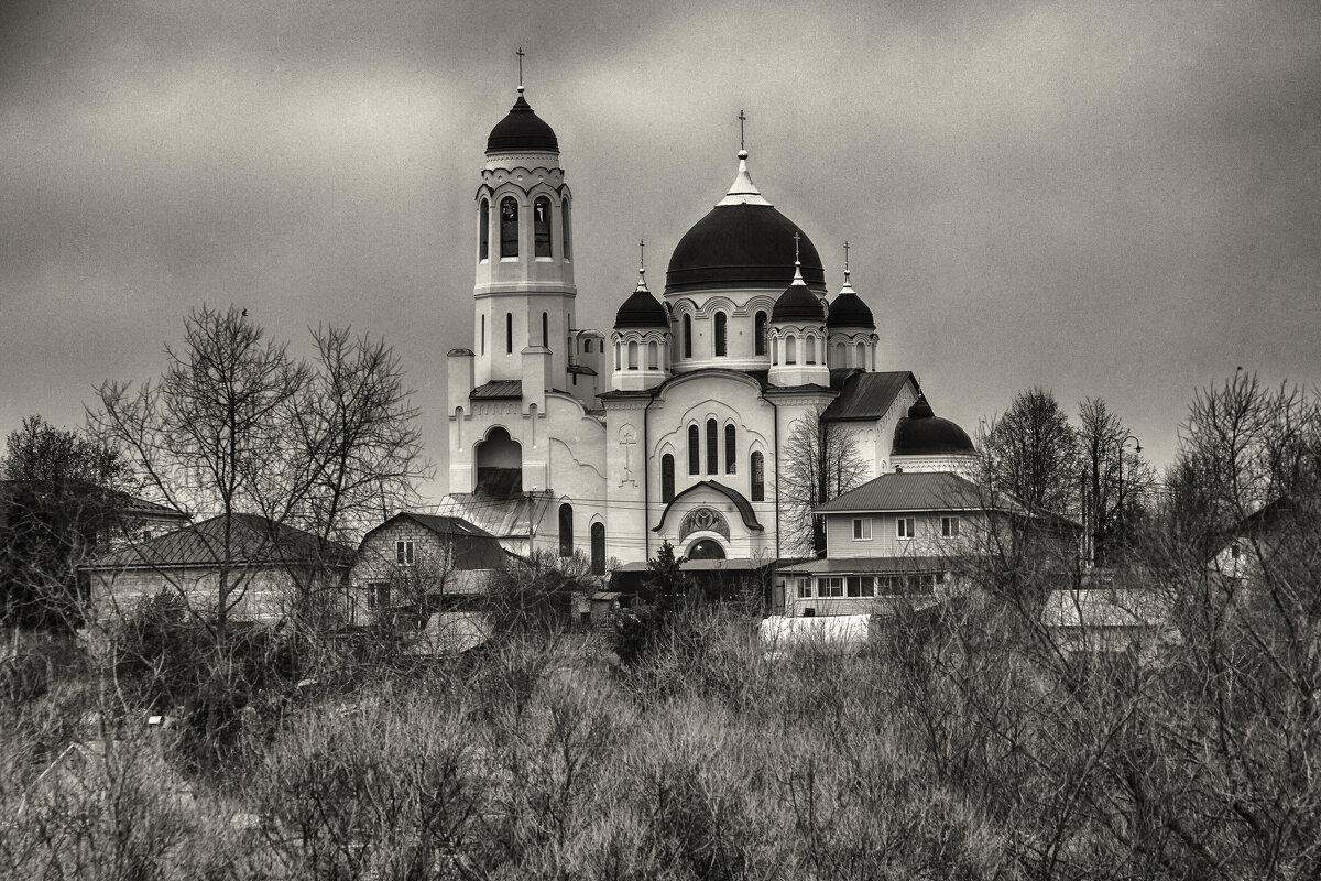 Боровск - Владимир Гришин