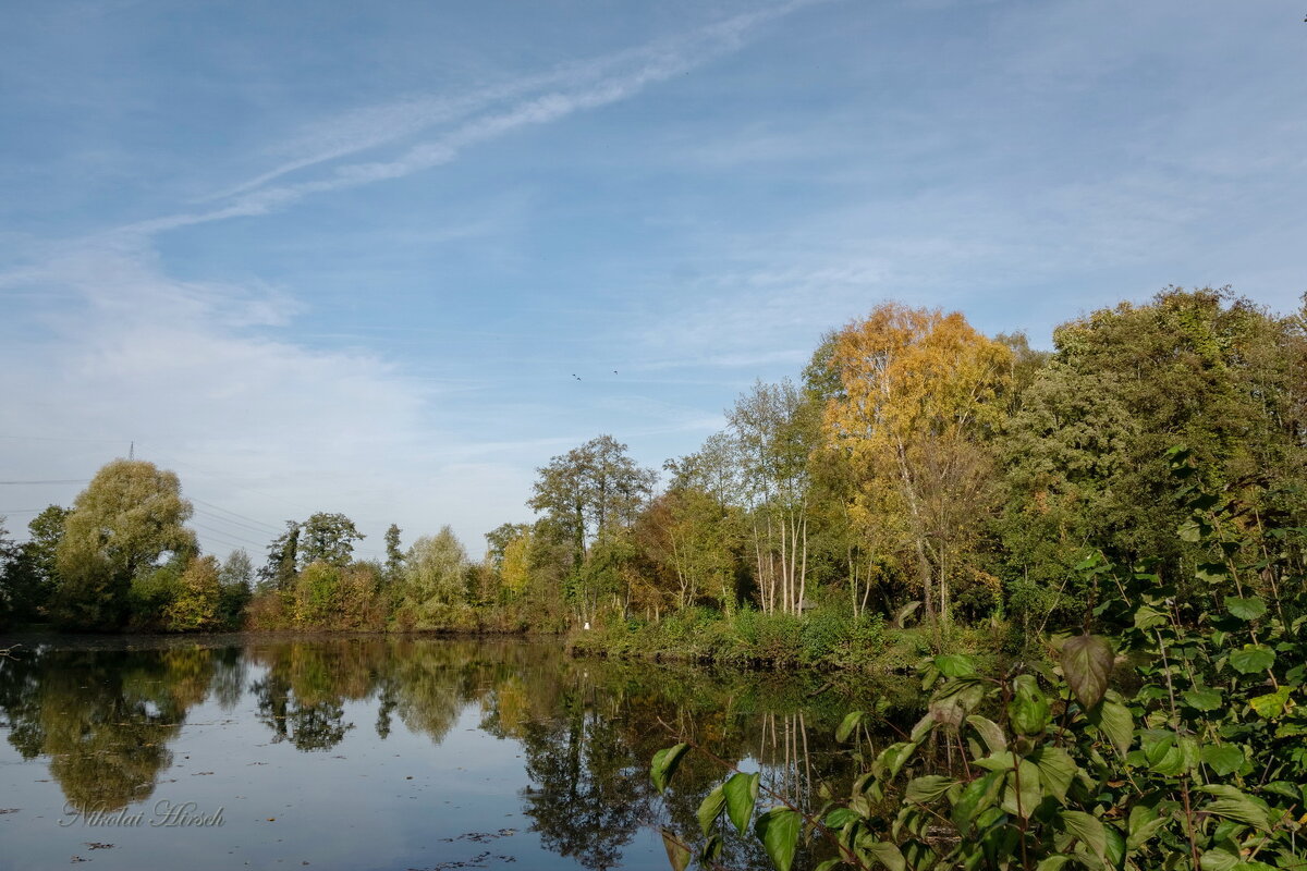 Октябрьское... - Николай Гирш