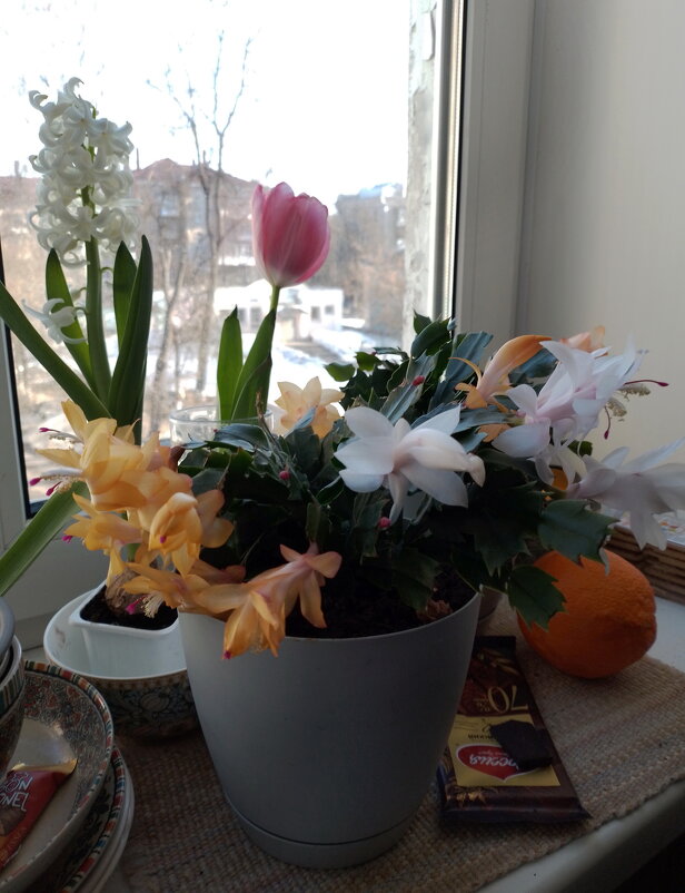 *** - Валентина Береснева