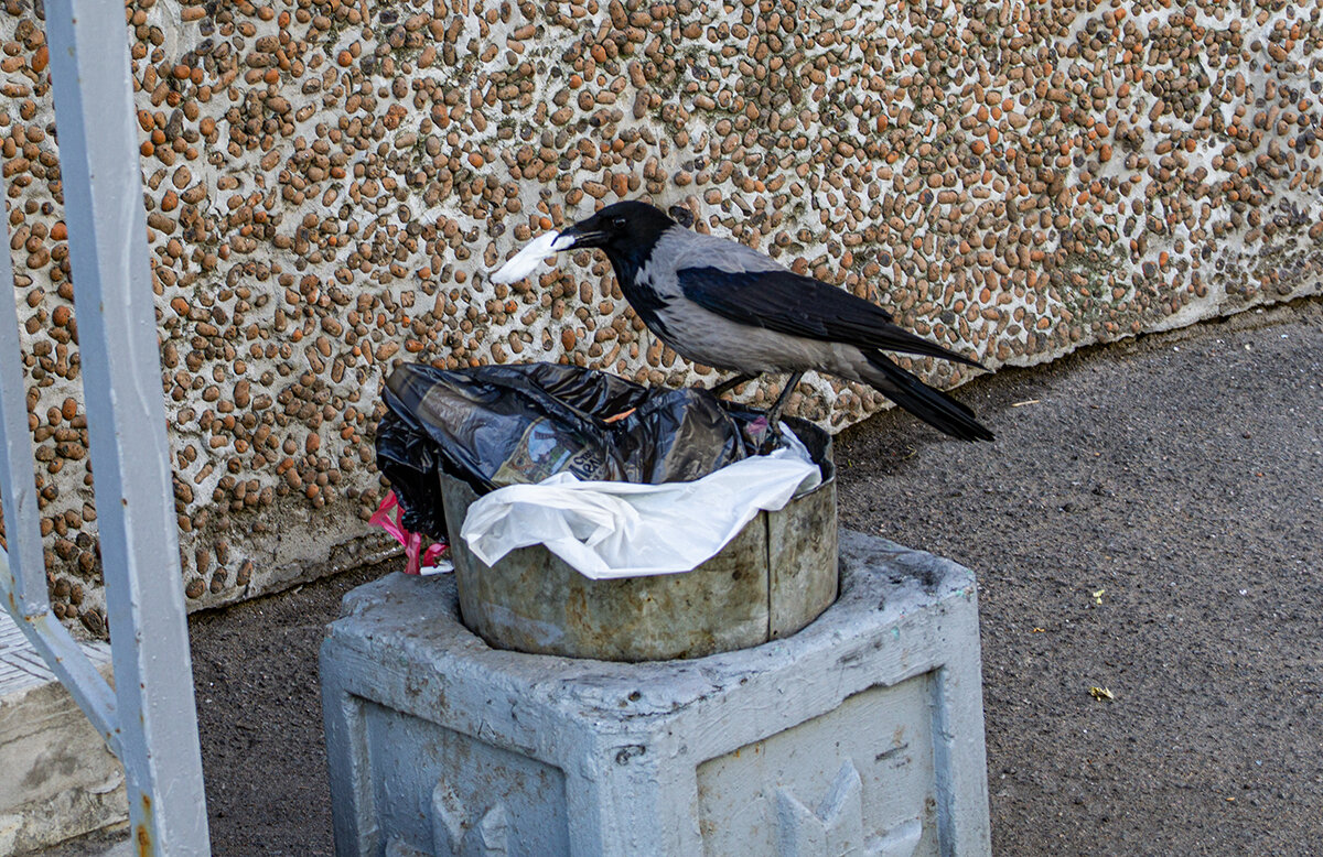 Находка - Ирина Соловьёва